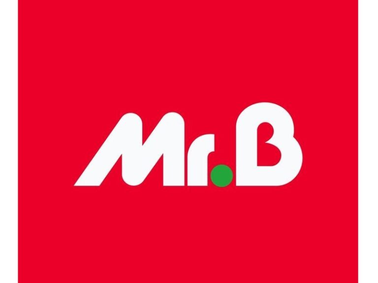 mr bricolage